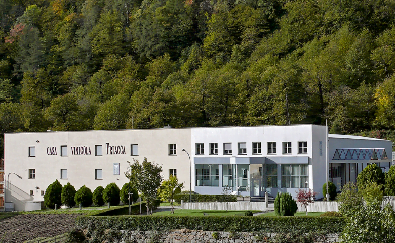 triacca winery swiss headquarters