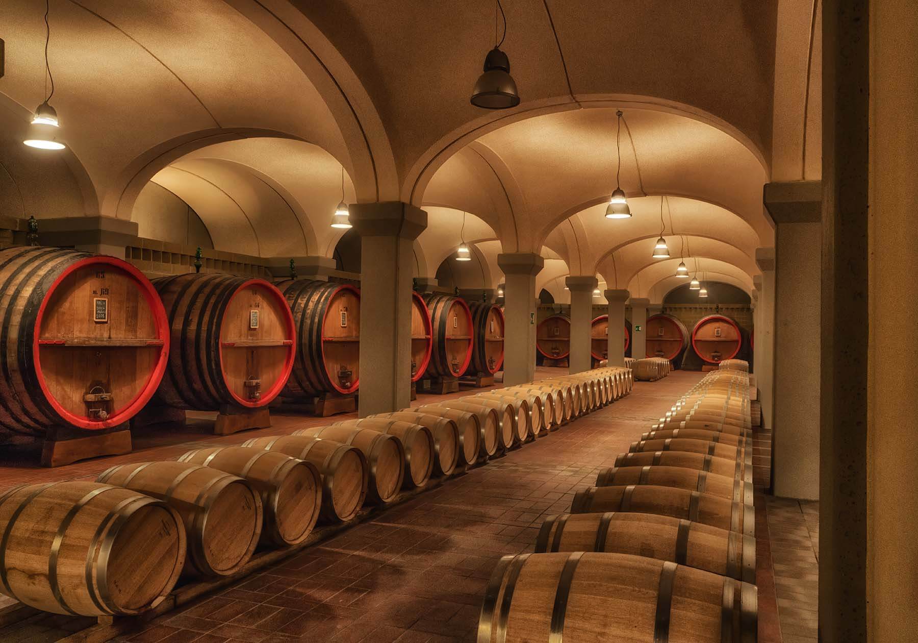 Wine barrels at the Madonnina estate