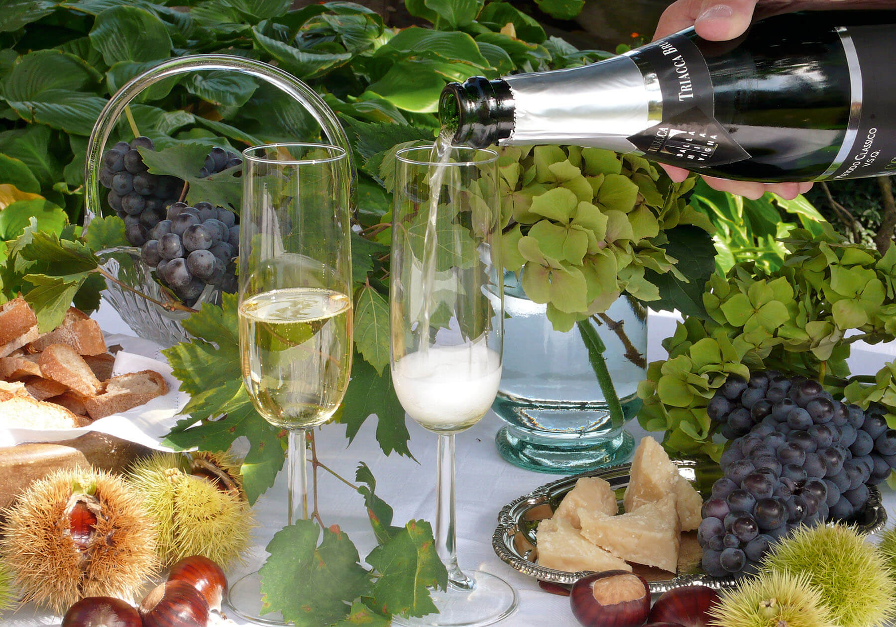 toast with Triacca Brut from the Triacca winery