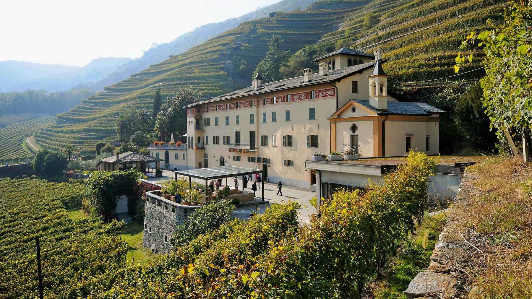 Triacca winery: La Gatta estate