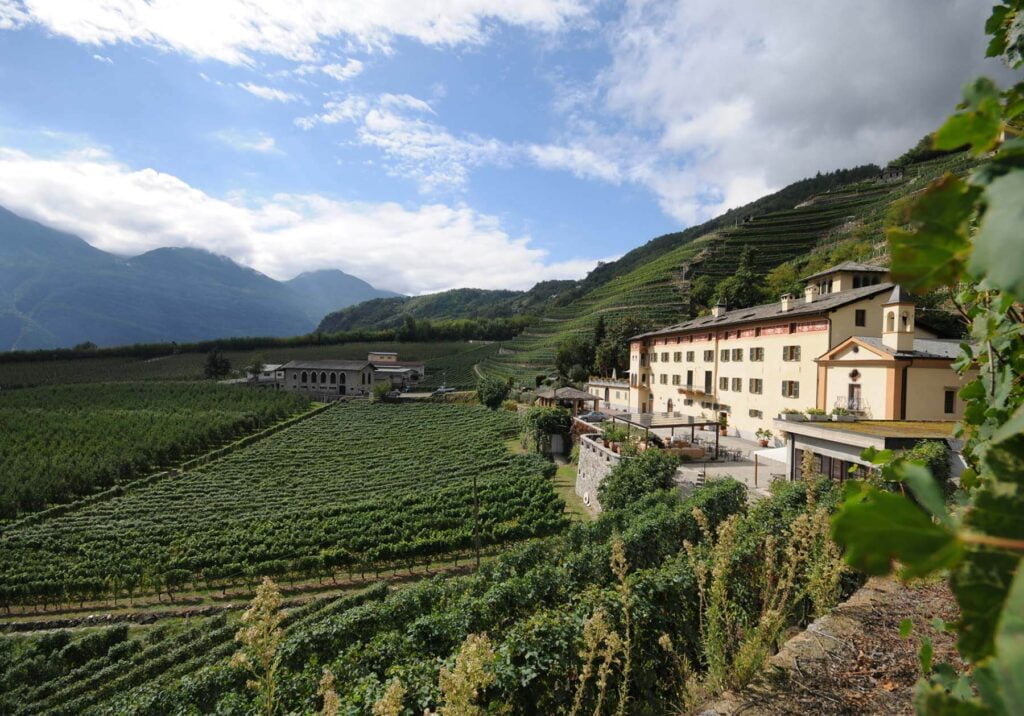 Panoramica della tenuta la Gatta in Valtellina