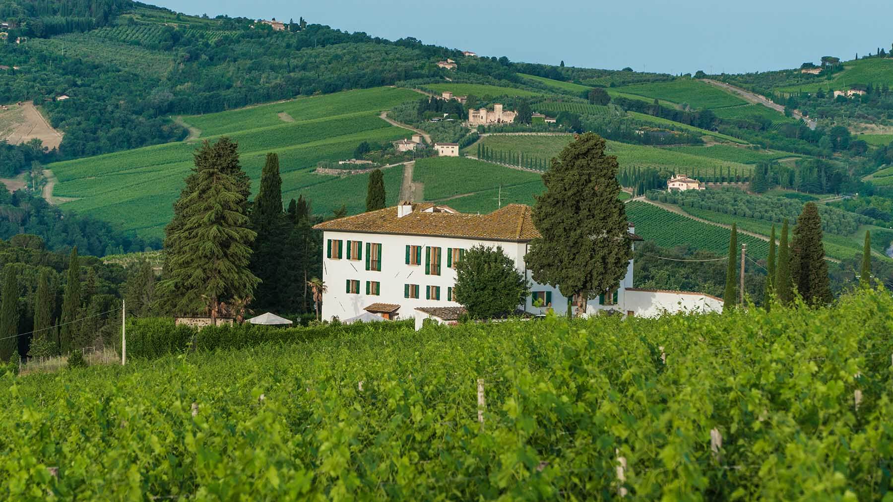 Triacca winery: La Madonnina estate