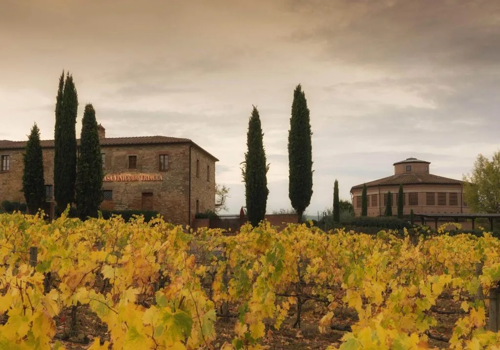 Tenuta Santavenere al tramonto