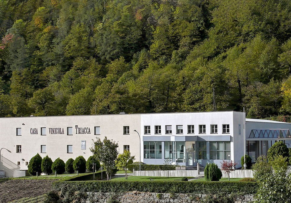 Triacca winery - Swiss headquarters