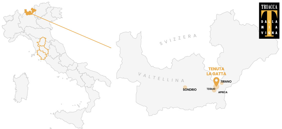 Posizione della Tenuta la Gatta - Valtellina