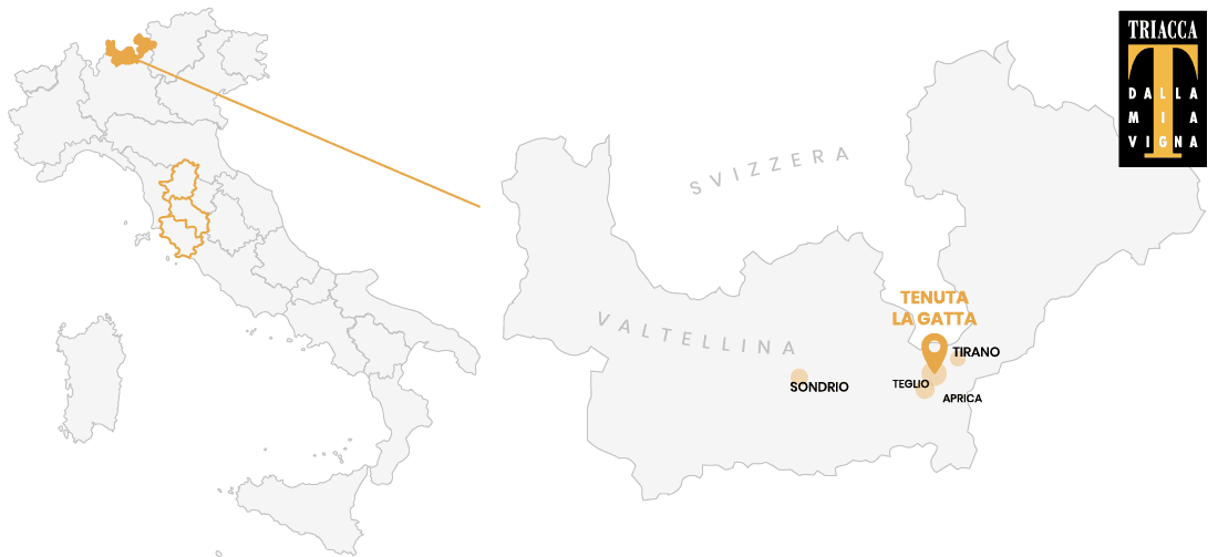Posizione della Tenuta la Gatta - Valtellina