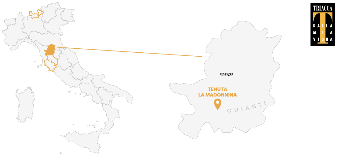 Produzione della Tenuta La Madonnina - Chianti