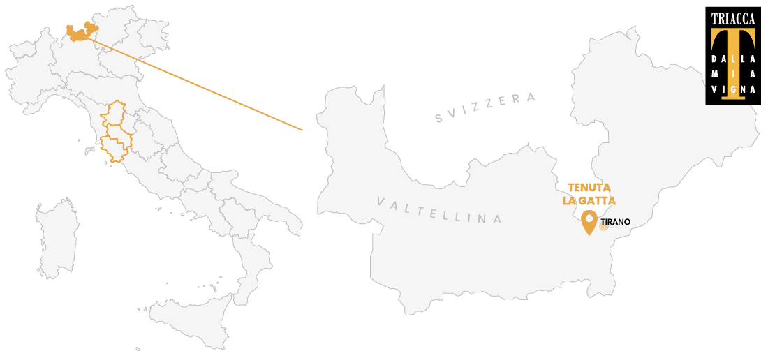 Produzione Le Traverse - Tirano