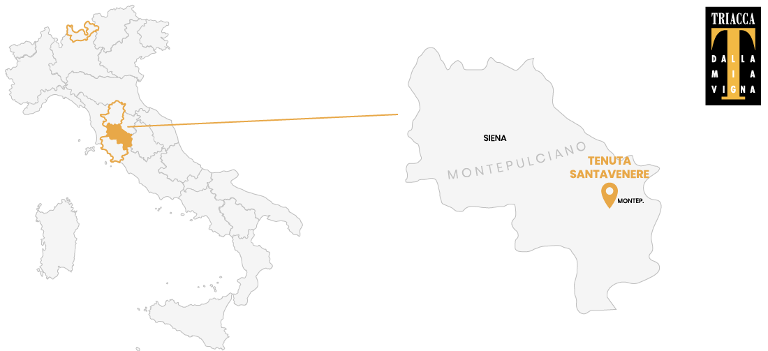 Produzione della Tenuta Santavenere - Montepulciano