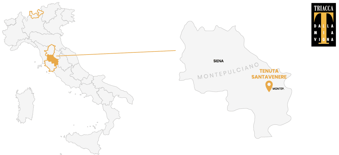 Produzione della Tenuta Santavenere - Montepulciano