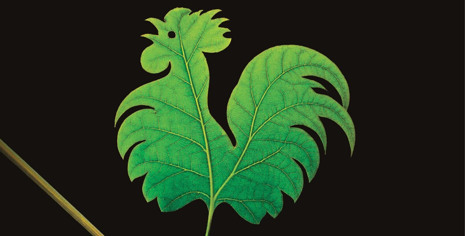 Chianti Classico Collection 2025